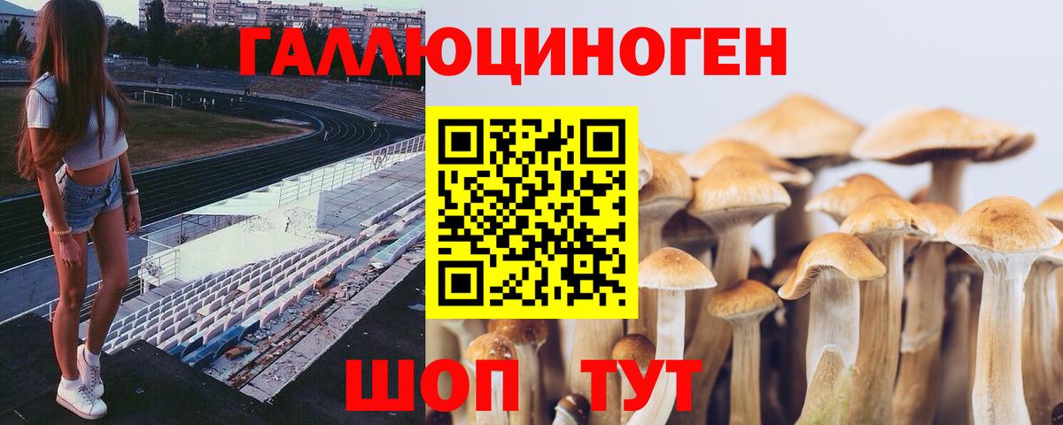 Псилоцибиновые грибы GOLDEN TEACHER Орск