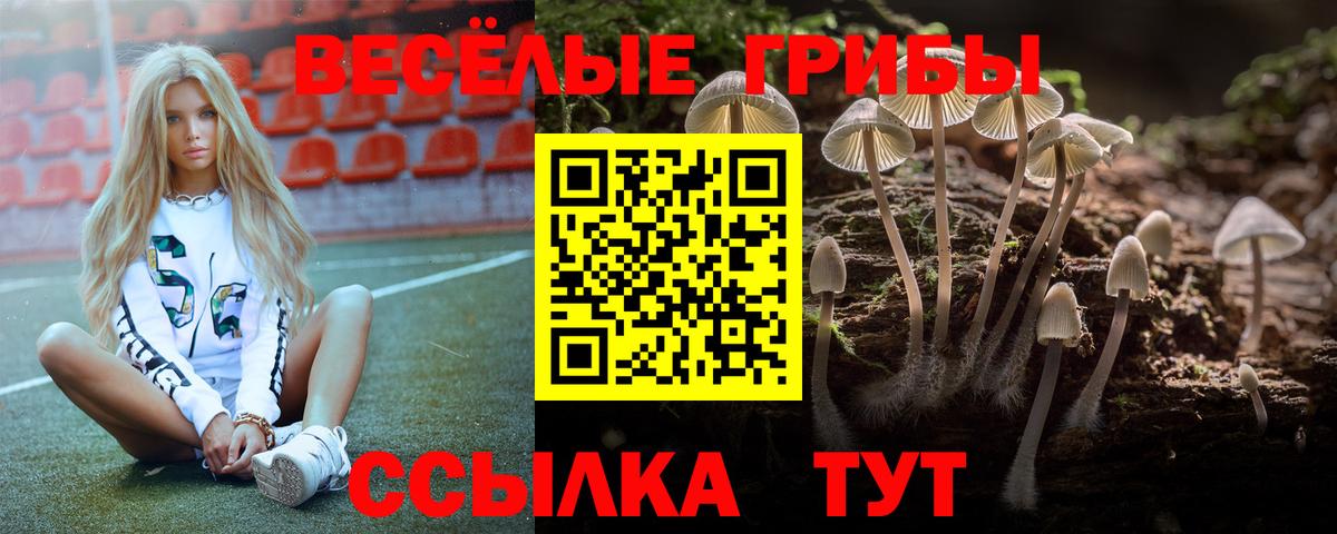 Орск  Псилоцибиновые грибы Psilocybine cubensis  Галлюциногенные грибы Cubensis  Вход с VPN 